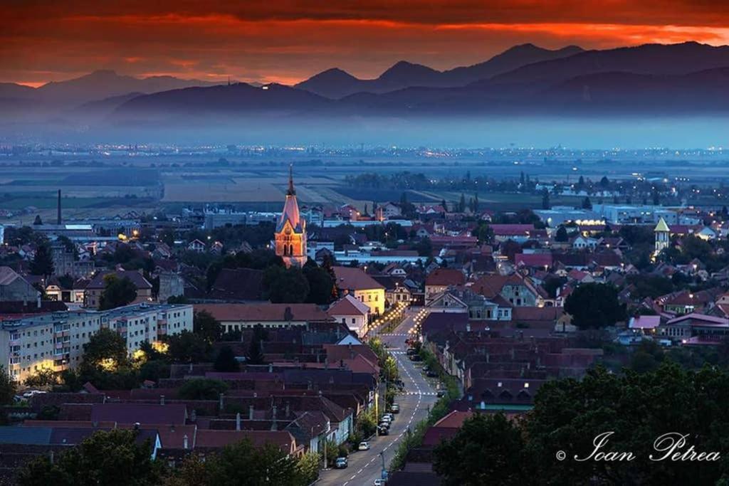 Green House Codlea, Jud Brasov Екстериор снимка