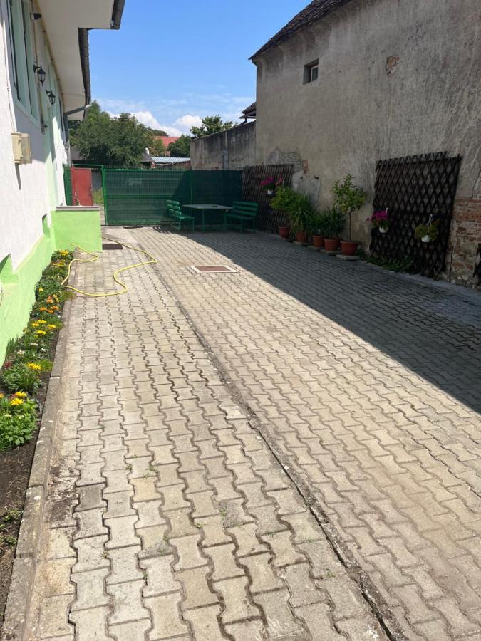 Green House Codlea, Jud Brasov Екстериор снимка